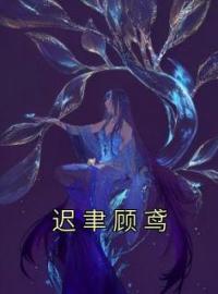 《迟聿顾鸢》小说全文精彩章节在线阅读（顾鸢迟聿）