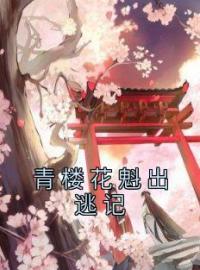 文昭初绣小说《青楼花魁出逃记》全文及大结局精彩试读