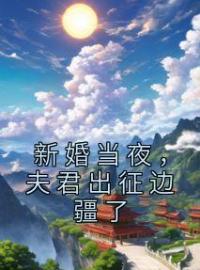 新婚当夜，夫君出征边疆了完整版全文阅读 裴云珠霍宗玄小说 大结局