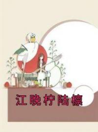 《江晚柠陆檩》小说全文精彩章节在线阅读（江晚柠陆檩）