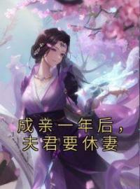 《成亲一年后，夫君要休妻》姜玥玥陶闻璟小说精彩内容在线阅读