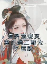 渣男宠妾灭妻？她二嫁太子君默楚宁君默小说结局完整全文