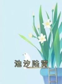 池汐陆霄全文免费试读(池汐陆霄) 完结版