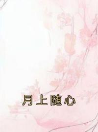 《月上随心》方婉沈行舟全文阅读