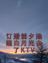 订婚前夕她跟白月光去了KTV