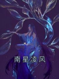 《南星凌风》南星凌风小说全文免费试读