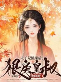  太子妃跳崖后，狠戾皇叔他疯魔了全文免费试读 陆宁晚沈重夜小说大结局无弹窗