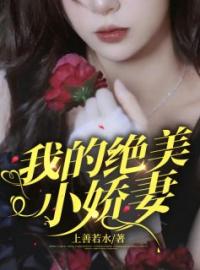 我的绝美小娇妻全文免费试读(龙禹陈薇) 完结版