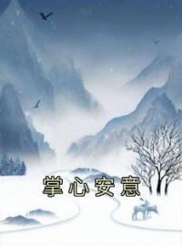 掌心安意免费试读(安意贺时砚小说全本资源) 无广告