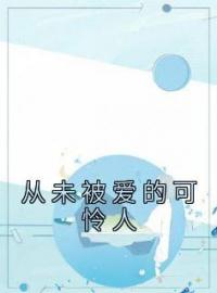 从未被爱的可怜人沈念陆京泽免费在线全文阅读