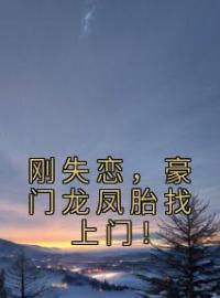 刚失恋，豪门龙凤胎找上门！江林宁雪免费在线全文阅读