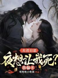 夫君日思夜想让我死？我偏不！沈婉赵霆宴免费在线全文阅读