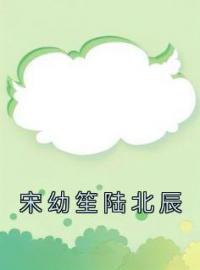 宋幼笙陆北辰(宋幼笙陆北辰)全文完结在线阅读完整版