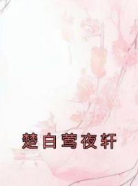 楚白莺夜轩免费试读(楚白莺夜轩小说全本资源) 无广告