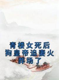 赵景白姝小说《青楼女死后狗皇帝追妻火葬场了》全文及大结局精彩试读