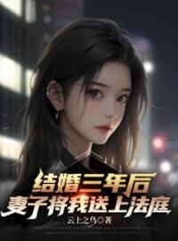 陆凡苏月灵小说章节目录 《结婚三年后，妻子将我告上法庭》全文阅读