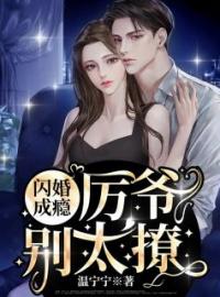 闪婚成瘾：厉爷，别太撩！完整版 温宁厉北琛全章节阅读