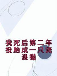 楠楠宋回浔魏星烨小说章节目录 我死后第二年投胎成一只流浪猫全文阅读