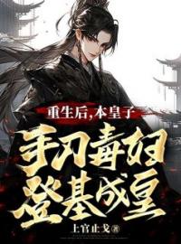 《重生后，本皇子手刃毒妇，登基成皇》小说完整版在线阅读（主角李珞燕怜儿）