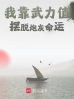 我靠武力值摆脱炮灰命运(凌渺苍梧)全文完结在线阅读完整版