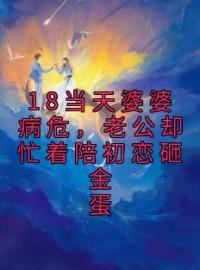 宴乔穆司阳小说大结局在线阅读 《18当天婆婆病危，老公却忙着陪初恋砸金蛋》小说免费试读