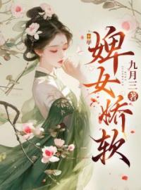 云华陈楚淮小说《婢女娇软》全文及大结局精彩试读