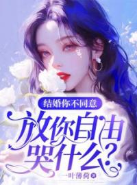 结婚你不同意，放你自由哭什么？全文免费试读(赵依然段嘉臣) 完结版