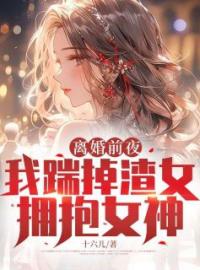 陆扬徐心瑶小说叫什么_离婚前夜，我踹掉渣女拥抱女神小说