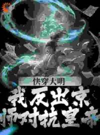 快穿大明：我反出京师对抗皇帝苏白晴霜全文在线免费试读