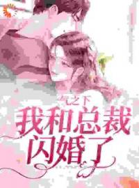 《一气之下，我和总裁闪婚了》郝又又霍时宴全文阅读