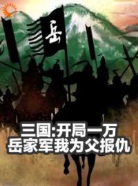 褚云文聘小说阅读_褚云文聘小说《三国：开局一万岳家军我为父报仇》