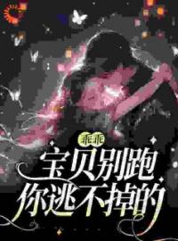 《乖乖宝贝别跑，你逃不掉的》最新章节 乖乖宝贝别跑，你逃不掉的司徒赫温雅雅全文阅读