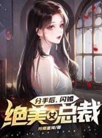 《分手后，闪婚绝美女总裁》叶枫杨倩倩小说全本在线阅读