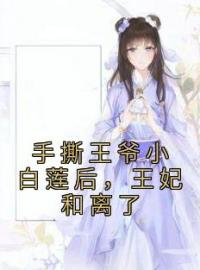 手撕王爷小白莲后，王妃和离了司若南谢渊小说完整篇在线阅读