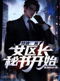 秦峰白静小说《仕途：从女区长秘书开始》全文及大结局精彩试读