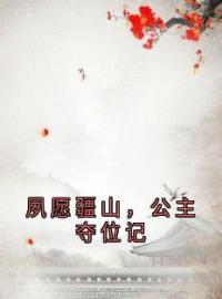 萧夙璃谢灵纾小说叫什么_夙愿疆山，公主夺位记小说