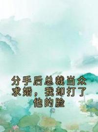 分手后总裁当众求婚，我却打了他的脸沈听雨许柯傅铭生小说全文阅读