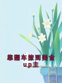 靠翻车撩到美食up主林声声许言川沈真小说_靠翻车撩到美食up主小说章节