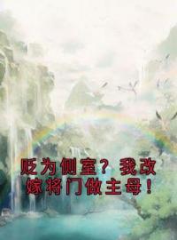 姜琮月李延德小说《贬为侧室？我改嫁将门做主母！》全文及大结局精彩试读