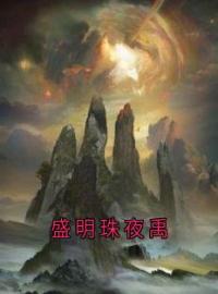 盛明珠夜禹(盛明珠夜禹)全文完结在线阅读完整版