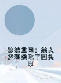 破镜重圆：美人经理她吃了回头草完整版全文阅读 陆枕风池澜小说 大结局