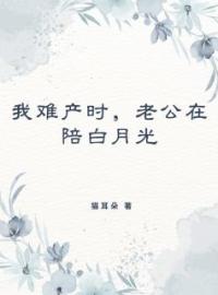 祈愿不爱你叶青柠陆倾宇小说_祈愿不爱你小说章节