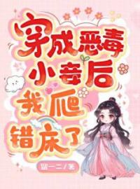 穿成恶毒小妾后，我爬错床了全文免费试读(沈婉青陆忱贺子骥) 完结版