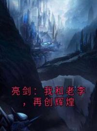 亮剑：我和老李，再创辉煌小说全集免费在线阅读（徐高翔李富林）