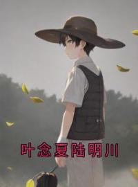 叶念夏陆明川全文免费试读(顾妍傅廷川) 完结版