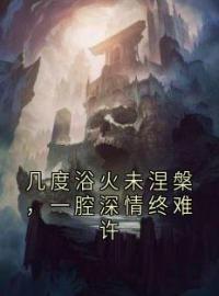 几度浴火未涅槃，一腔深情终难许by风无颜君苍宴完整版 风无颜君苍宴小说全集在线阅读