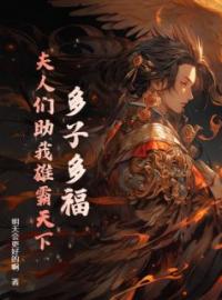 《多子多福，夫人们助我雄霸天下》赵辰林佑海小说精彩章节在线阅读