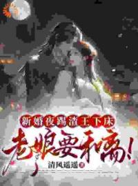 新婚夜踢渣王下床，老娘要和离！宋阮穆修泽全本大结局阅读