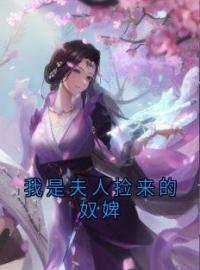 我是夫人捡来的奴婢完整版 程听晚程玉吟全章节阅读