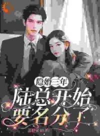 挽着男伴，我见到了隐婚对象完整版 沈听晚陆逸舟全章节阅读